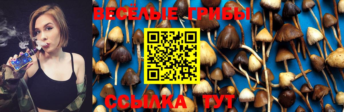 Самара  Галлюциногенные грибы прущие грибы  Вход с VPN 